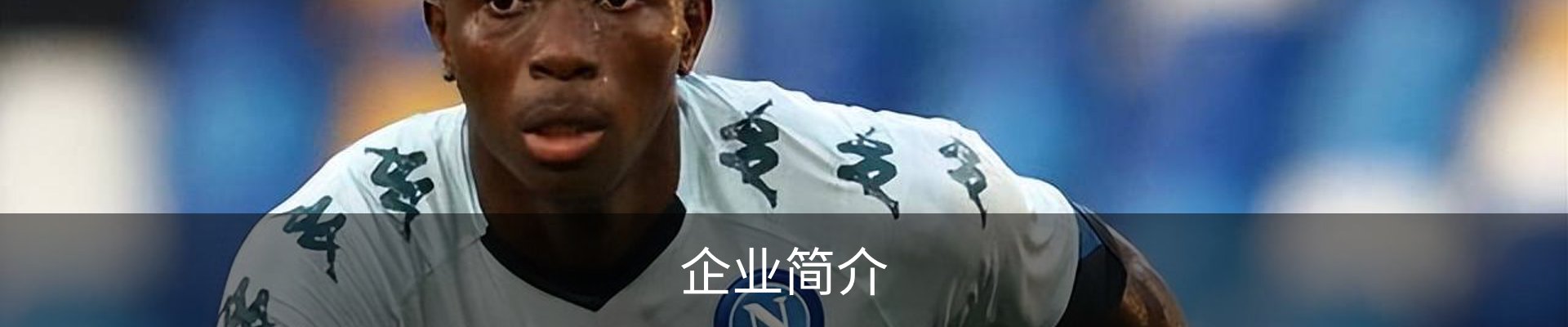 企业简介