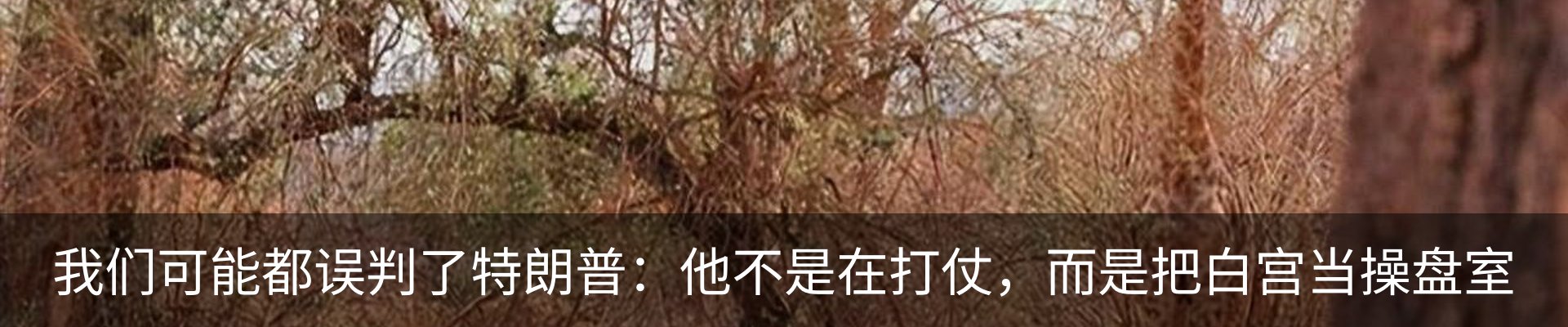 资讯动态